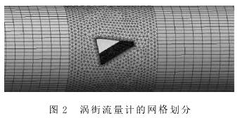 渦街流量計(jì)的網(wǎng)格劃分圖示